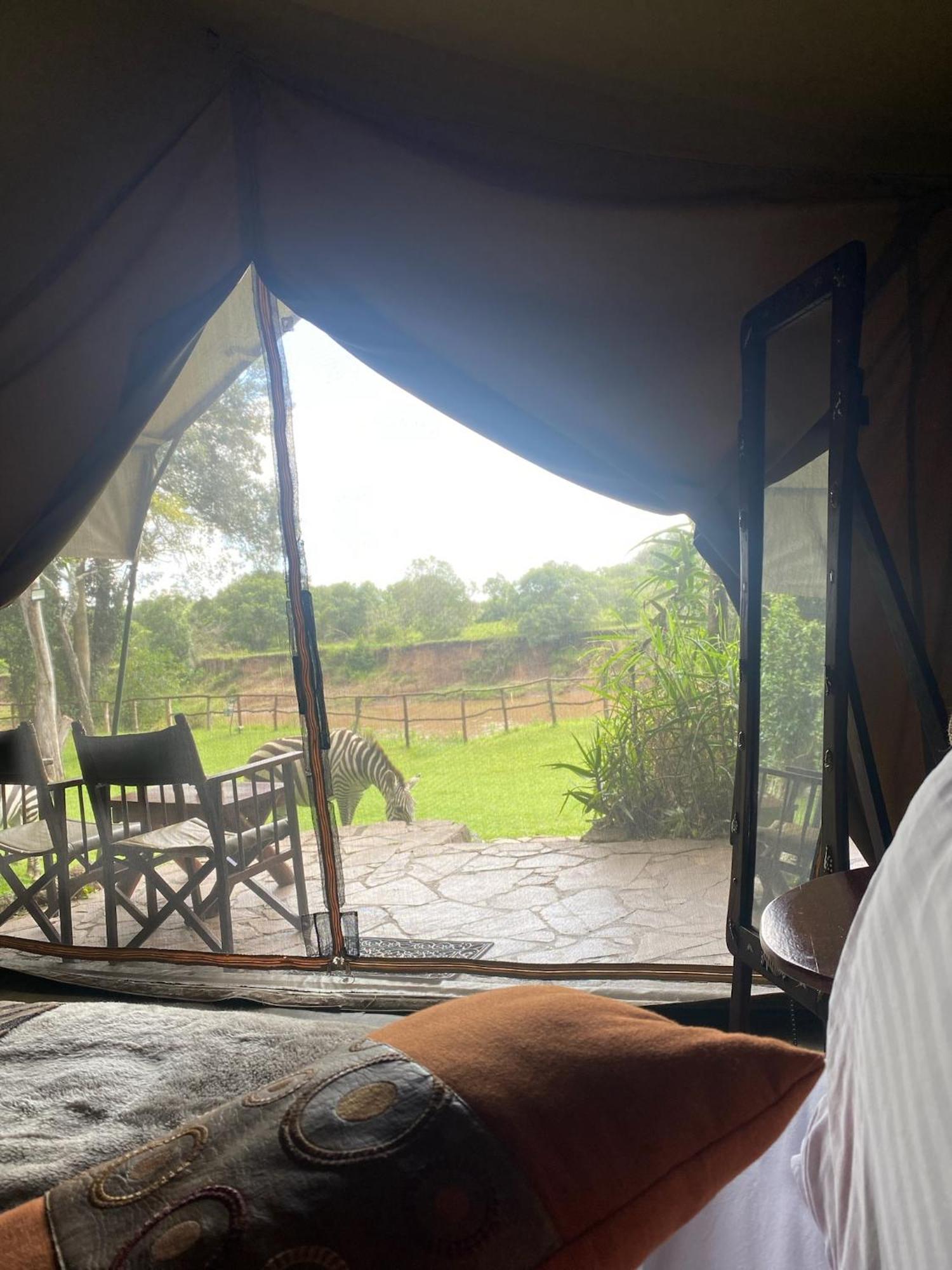 Mara River Camp Aitong Eksteriør bilde