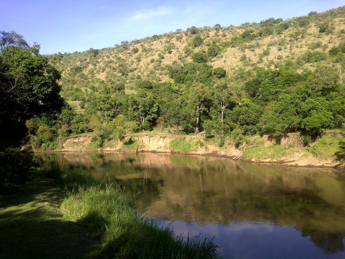 Mara River Camp Aitong Eksteriør bilde